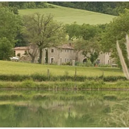 Kır Evi Il Pavone